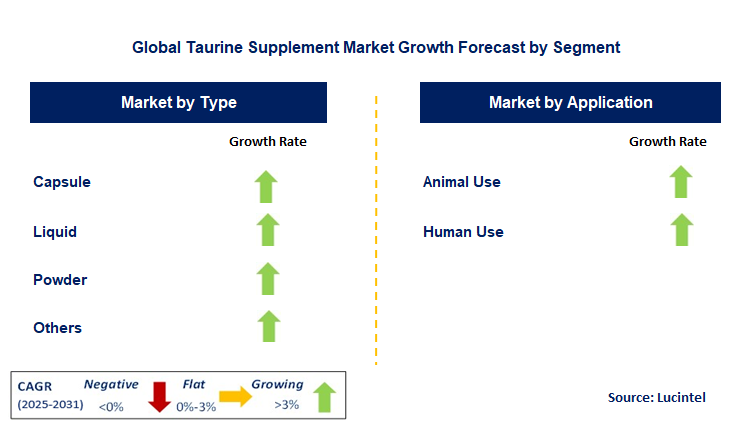 Taurine Supplement Market by Segment