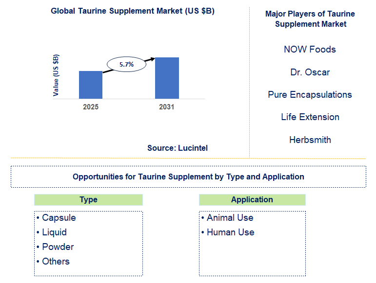 Taurine Supplement Market Trends and Forecast