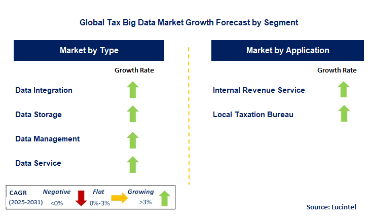 Tax Big Data Market by Segment