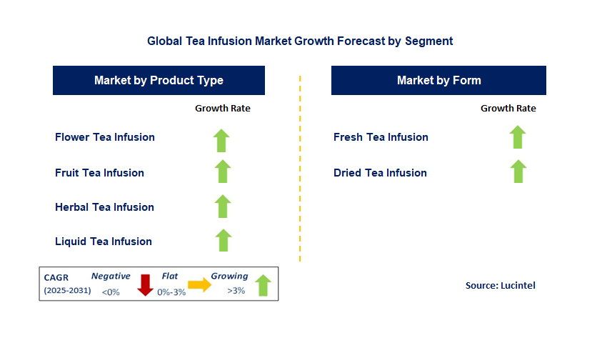 Tea Infusion Market by Segment