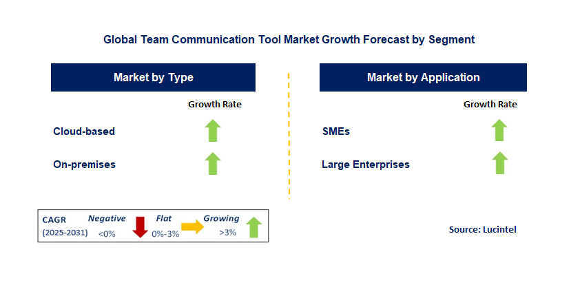 Team Communication Tool Market by Segment