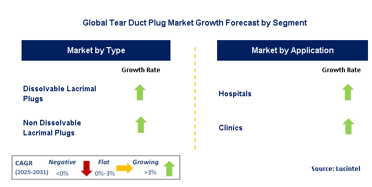 Tear Duct Plug Market by Segment