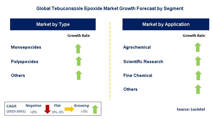 Tebuconazole Epoxide Market by Segment