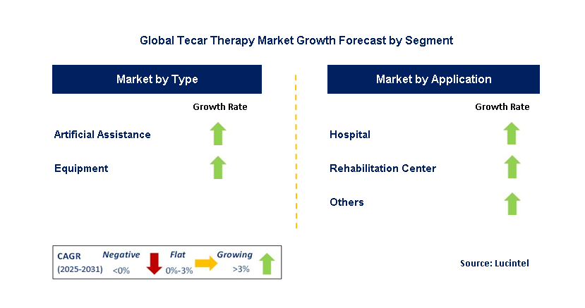 Tecar Therapy Market by Segment