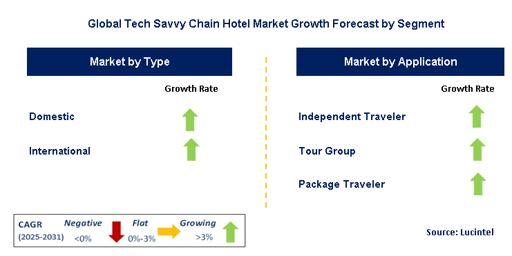 Tech Savvy Chain Hotel Market by Segment