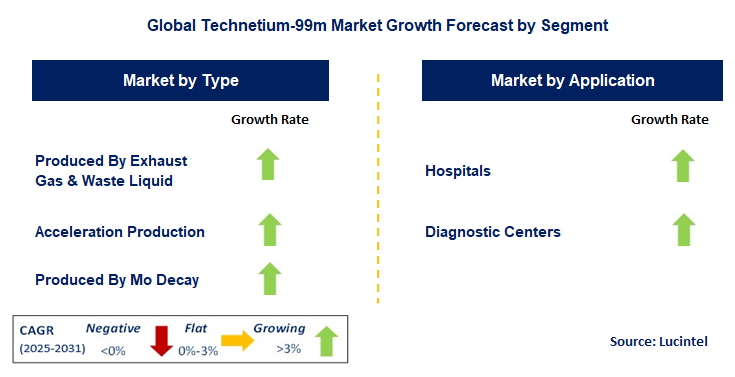 Technetium-99m Market by Segment