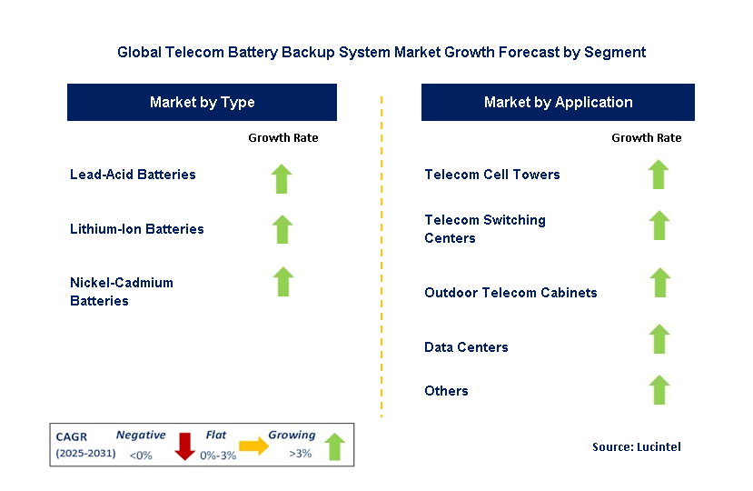 Telecom Battery Backup System Market by Segment