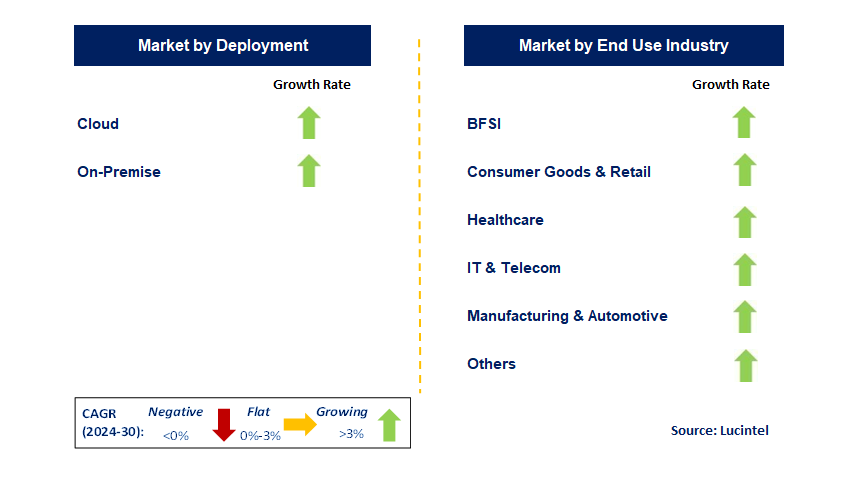 Telecom Expense Management by Segment