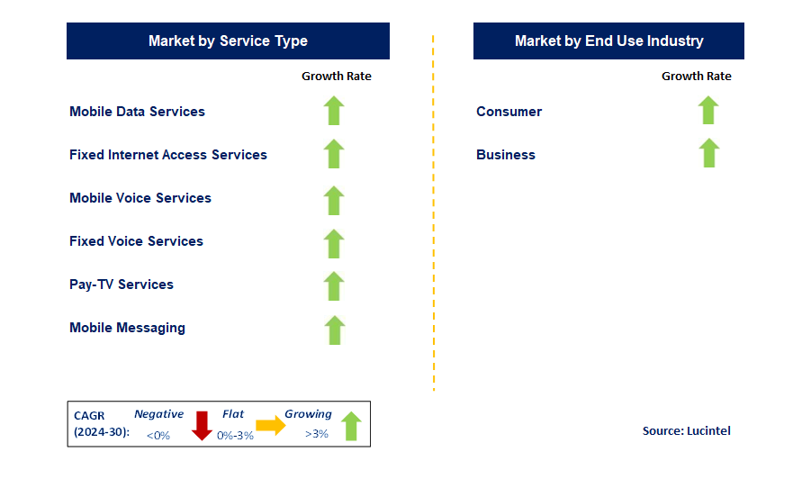 Telecommunications Services by Segment