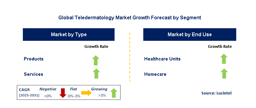 Teledermatology Market by Segment