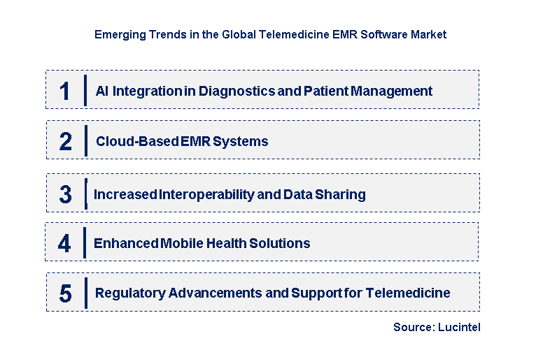 Emerging Trends in the Telemedicine EMR Software Market