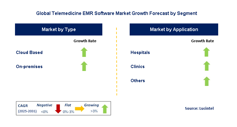 Telemedicine EMR Software Market by Segment