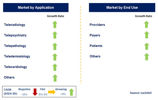 Telemedicine Market by Segments