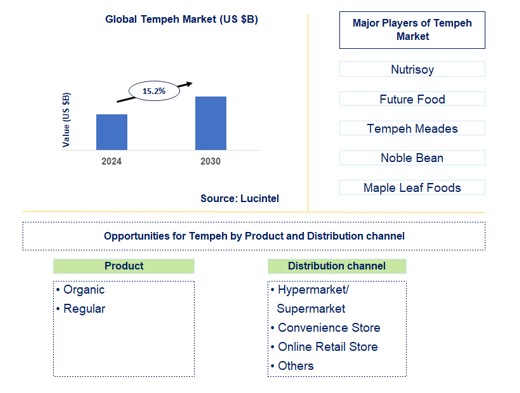 Tempeh Trends and Forecast