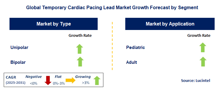 Temporary Cardiac Pacing Lead Market by Segment