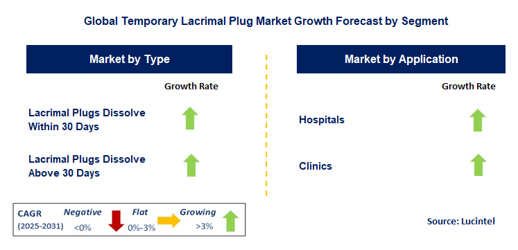 Temporary Lacrimal Plug Market by Segment