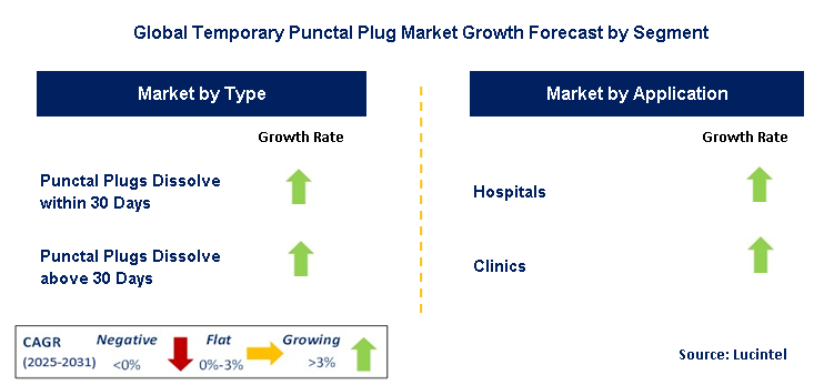 Temporary Punctal Plug Market by Segment