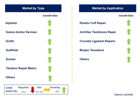 Tendon Repair by Segment