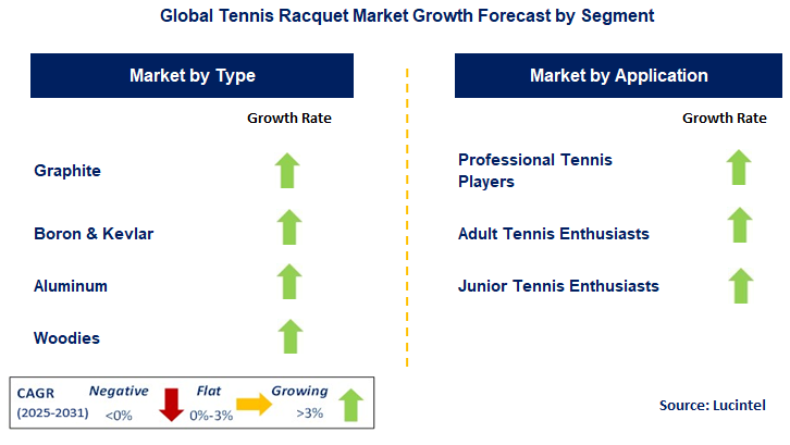Tennis Racquet Market by Segment