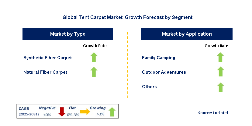 Tent Carpet Market by Segment