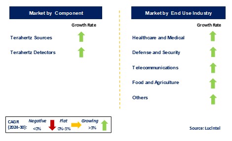 Terahertz Technology Market by Segments