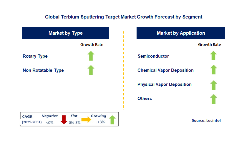 Terbium Sputtering Target Market by Segment