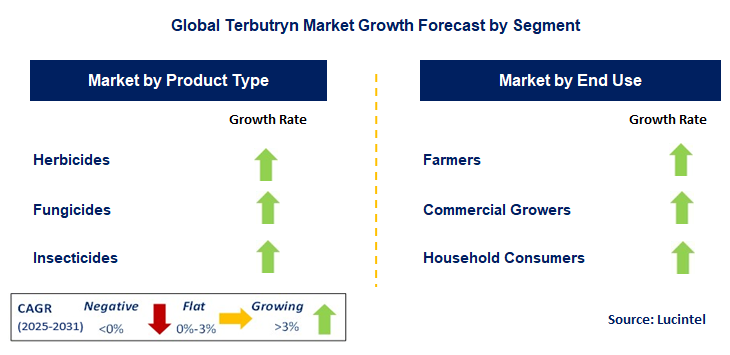 Terbutryn Market by Segment