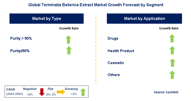 Terminalia Bellerica Extract Market by Segment