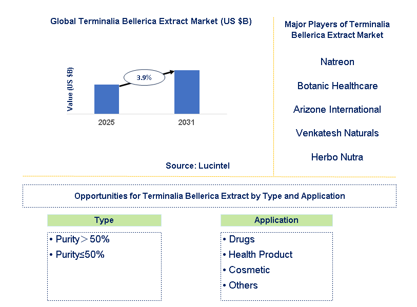 Terminalia Bellerica Extract Market Trends and Forecast