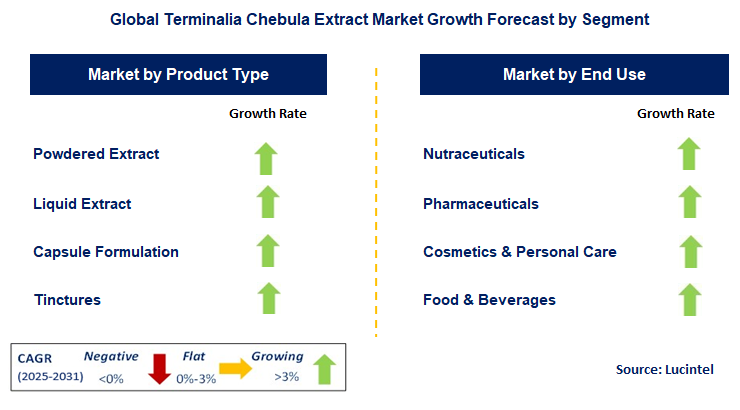 Terminalia Chebula Extract Market by Segment