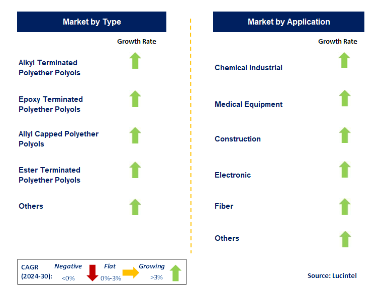 Terminated Polyether Polyol by country