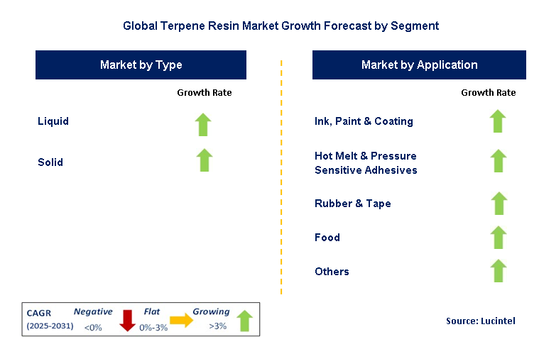 Terpene Resin Market by Segment