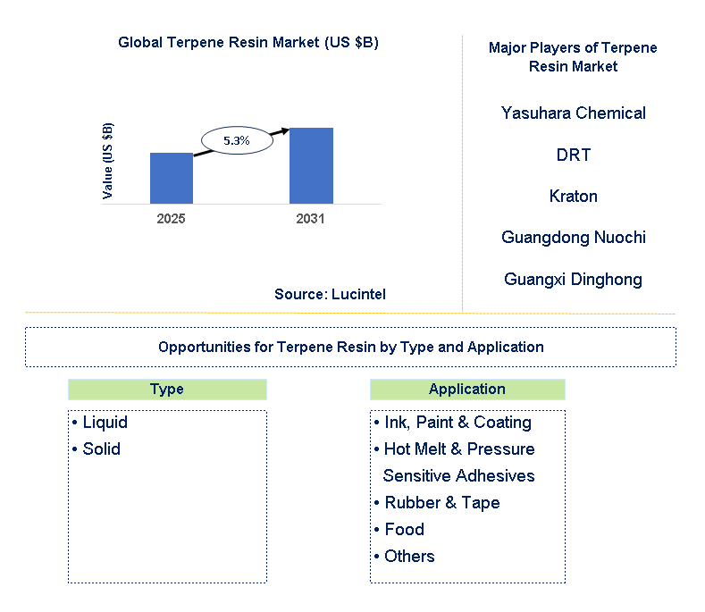 Terpene Resin Market Trends and Forecast