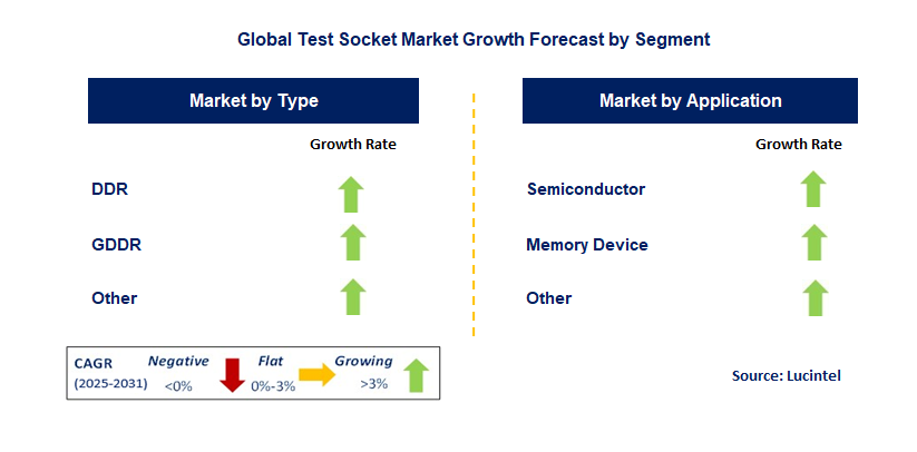 Test Socket Market by Segment