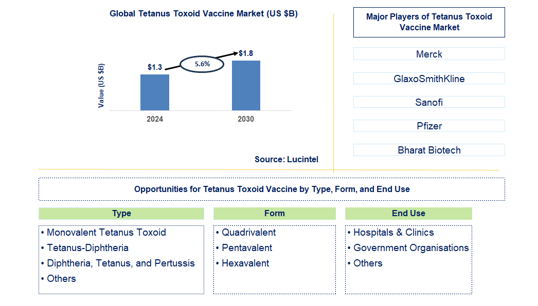 Tetanus Toxoid Vaccine Trends and Forecast