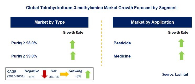 Tetrahydrofuran-3-methylamine Market by Segment