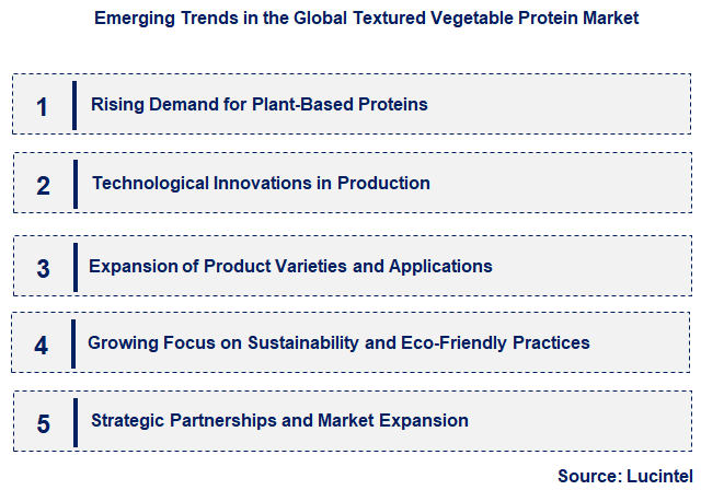 Emerging Trends in the Textured Vegetable Protein Market Emerging Trends in the Textured Vegetable Protein Market
