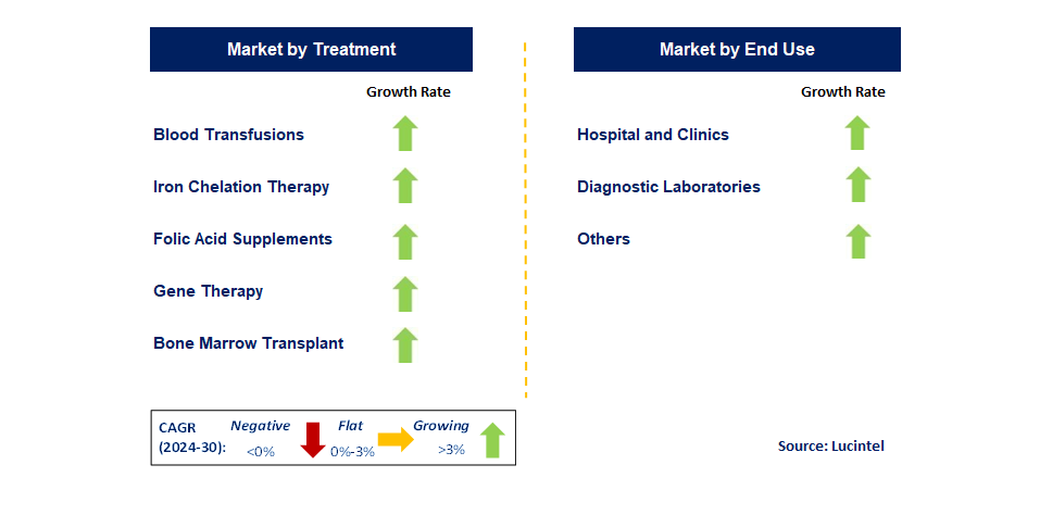 Thalassemia Treatment by Segment