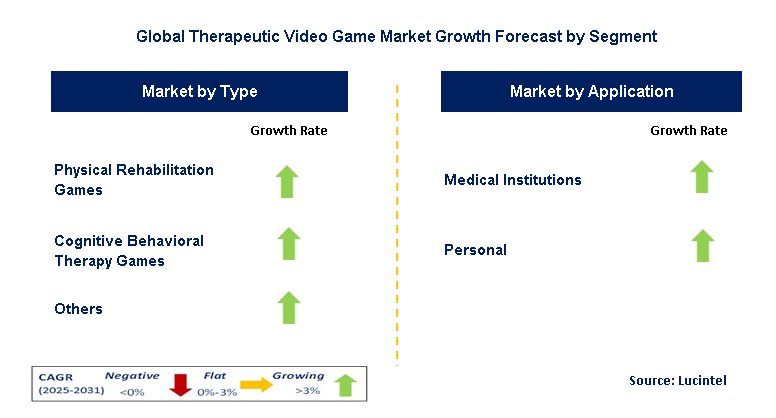 Therapeutic Video Game Market by Segment