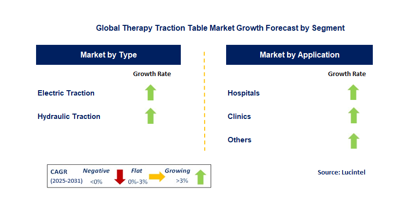 Therapy Traction Table Market by Segment