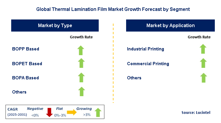 Thermal Lamination Film Market by Segment