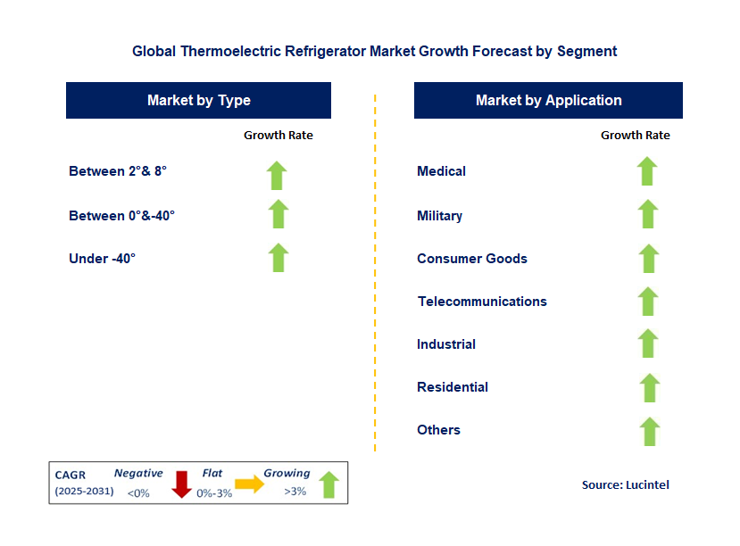 Thermoelectric Refrigerator Market by Segment