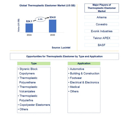 Thermoplastic Elastomer Market by Type and Application