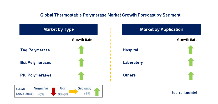Thermostable Polymerase Market by Segment