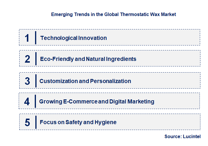 Emerging Trends in the Thermostatic Wax Market