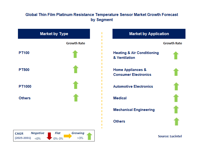 Thin Film Platinum Resistance Temperature Sensor Market by Segment
