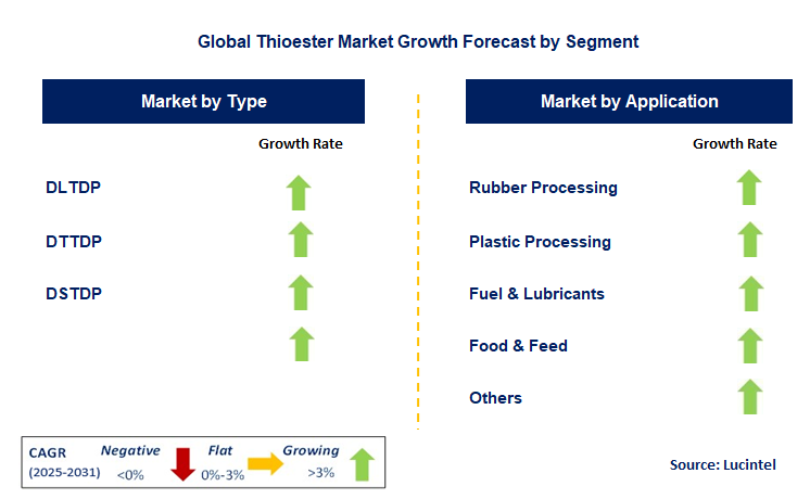 Thioester Market by Segment