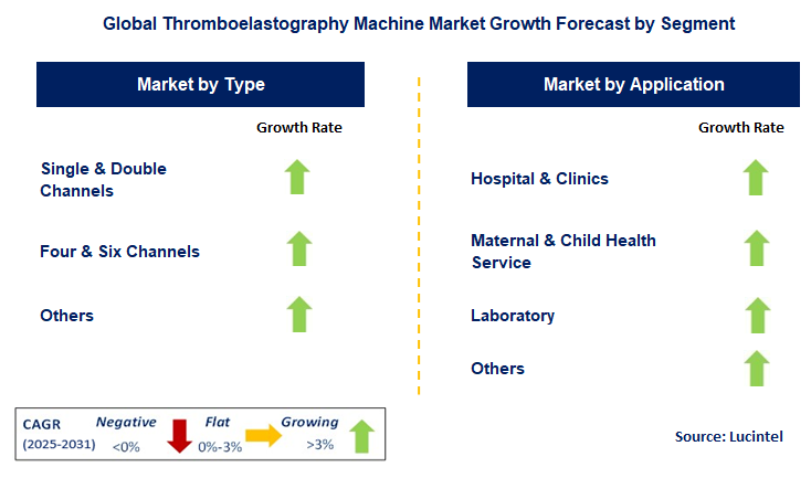 Thromboelastography Machine Market by Segment
