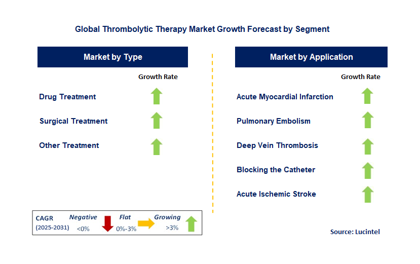 Thrombolytic Therapy Market by Segment