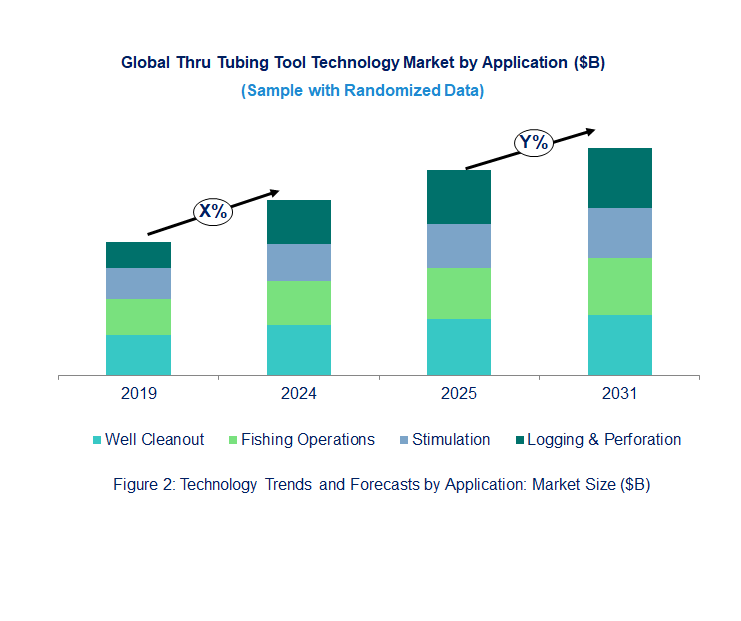 Thru Tubing Tool Market by Segments